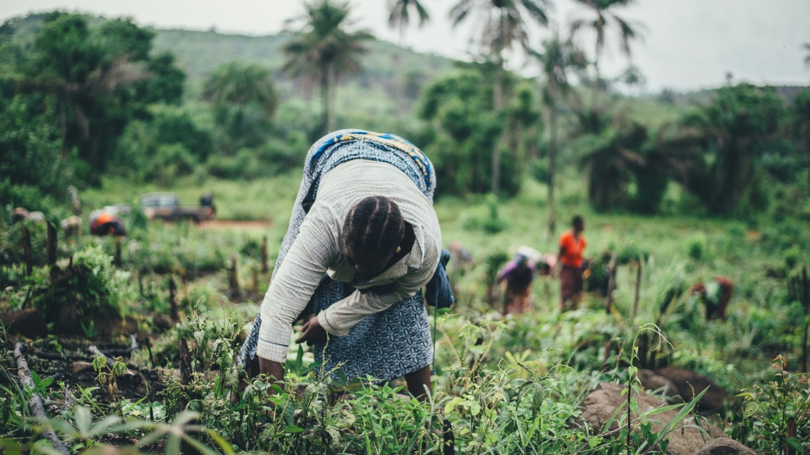 Agricultural Reform